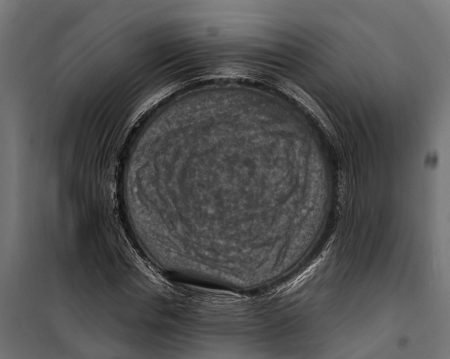 X0000099980826200806201424