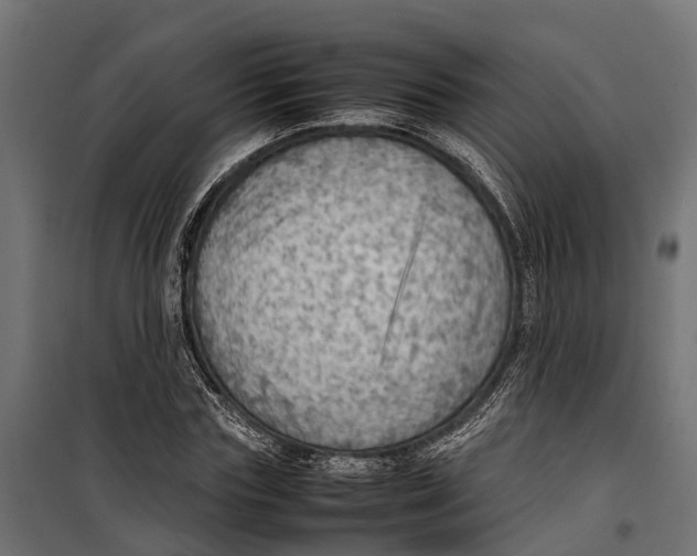 X0000099980827200806201424