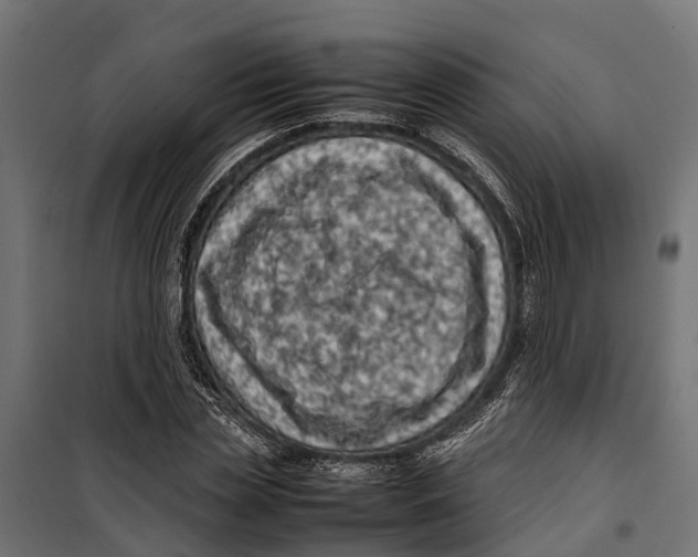 X0000099980829200806201424