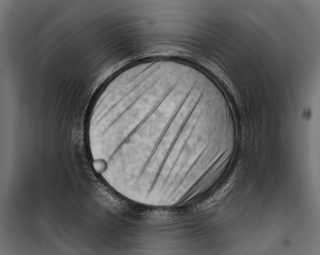 X0000099980834200806201424