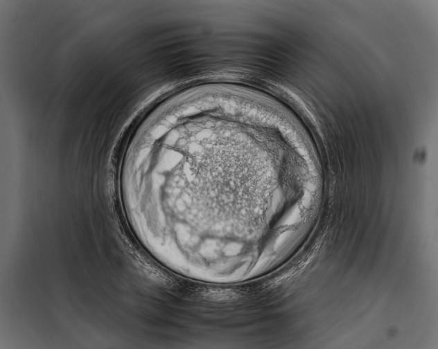 X0000099980835200806201424