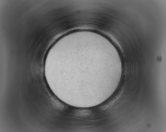 X0000099980837200806201424