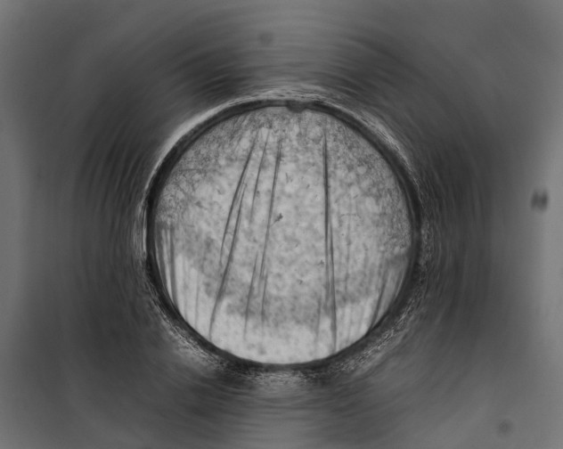 X0000099980838200806201424