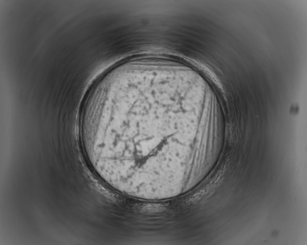 X0000099980839200806201424