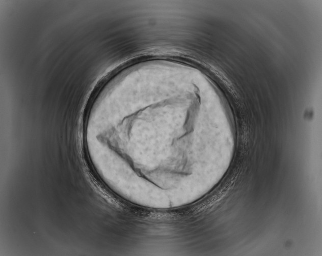 X0000099980840200806201424