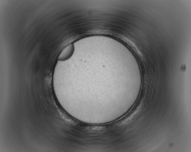 X0000099980841200806201424