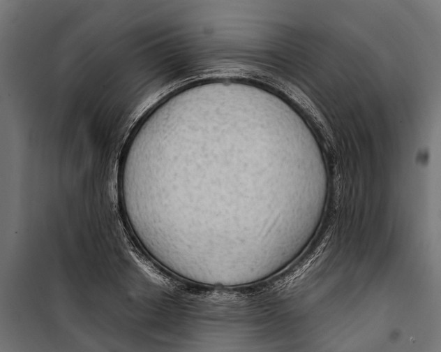 X0000099980842200806201424