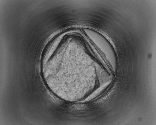 X0000099980845200806201424