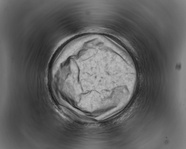 X0000099980846200806201424