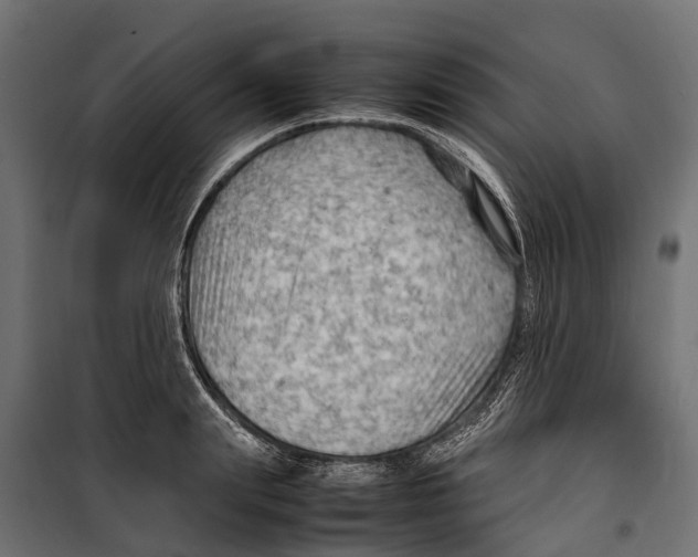 X0000099980847200806201424