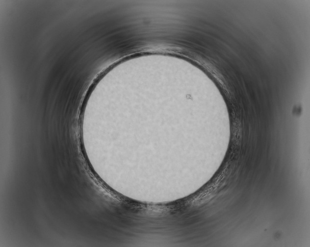 X0000099980848200806201424