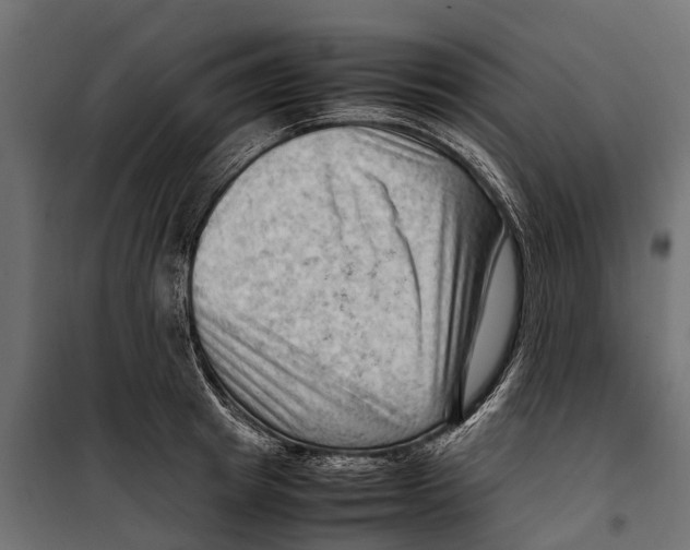 X0000099980849200806201424