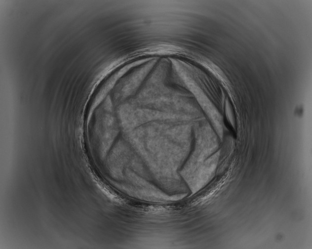 X0000099980850200806201424