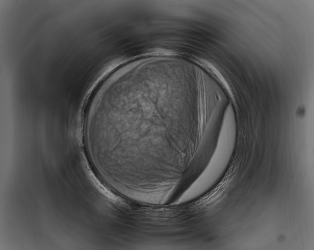 X0000099980851200806201424