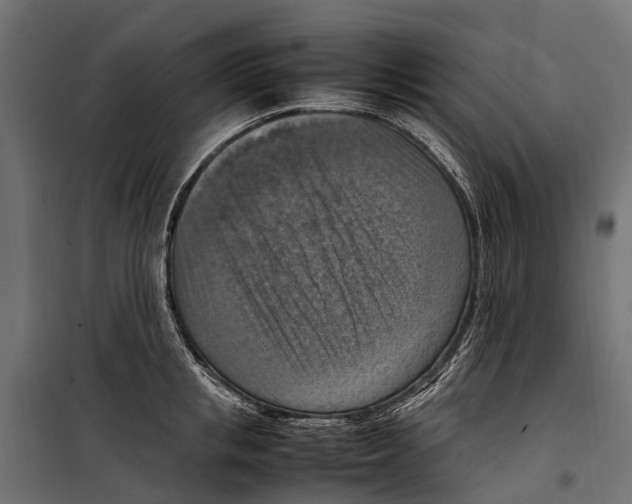 X0000099980853200806201424