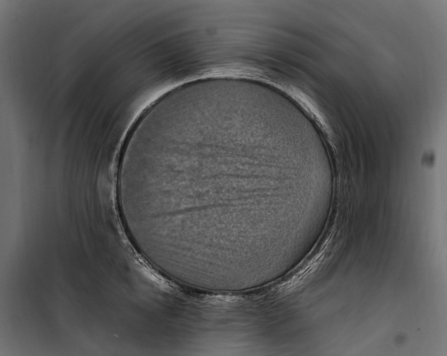 X0000099980854200806201424