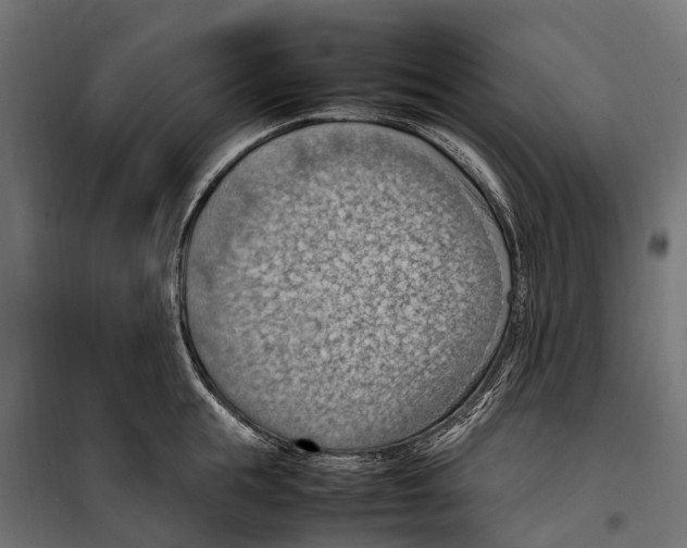 X0000099980855200806201424