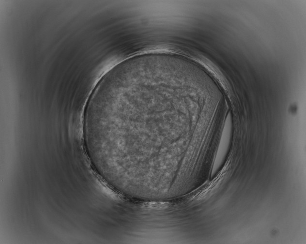 X0000099980858200806201424