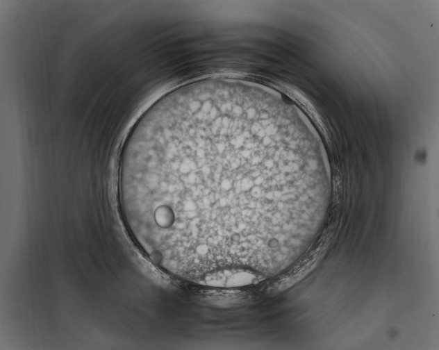 X0000099980859200806201424