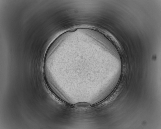 X0000099980860200806201424