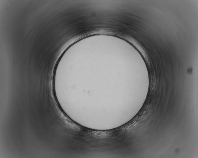 X0000099980861200806201424