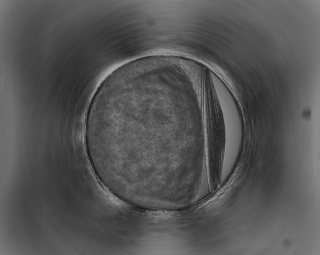 X0000099980862200806201424