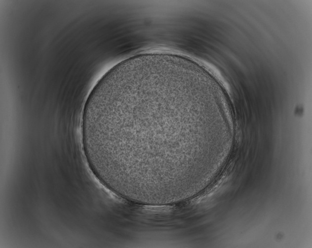 X0000099980863200806201424