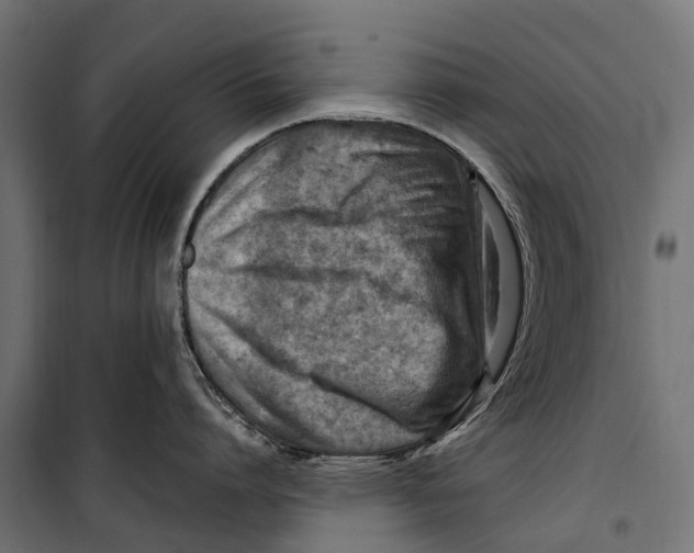 X0000099980864200806201424