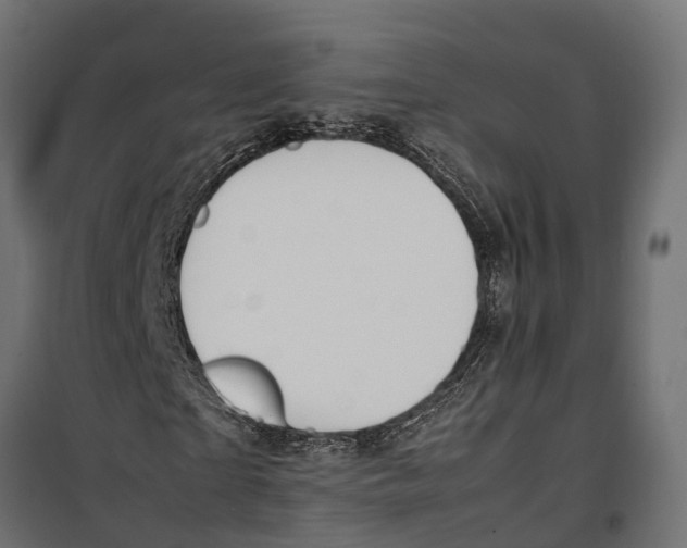 X0000099980865200806201423