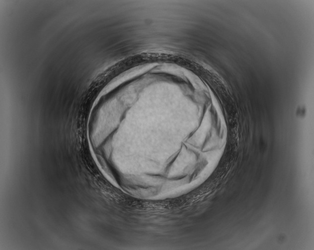 X0000099980870200806201423