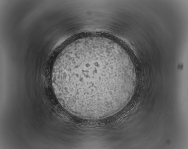 X0000099980871200806201423