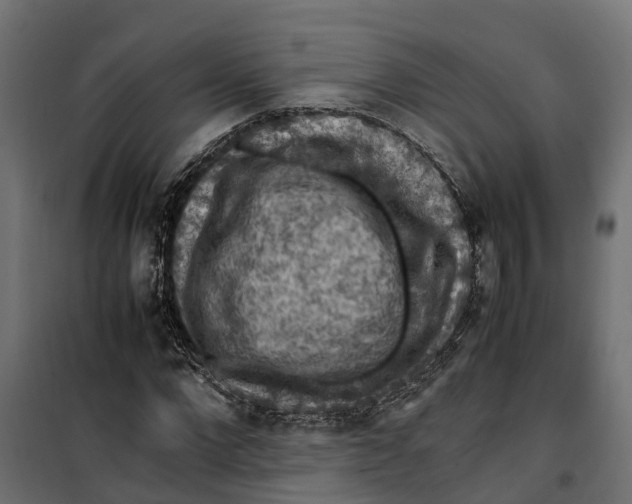 X0000099980872200806201423