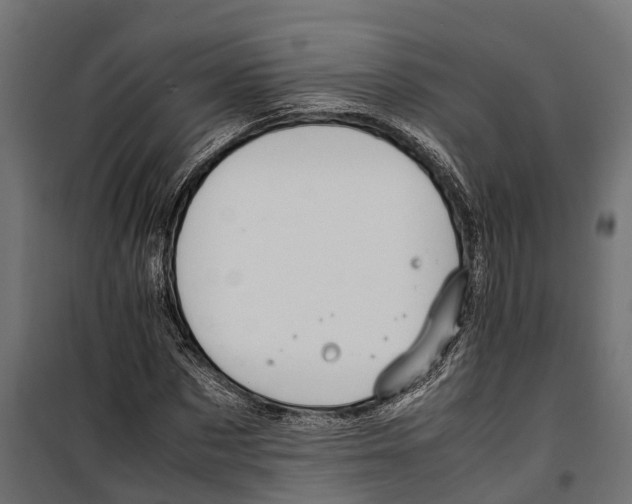 X0000099980873200806201423