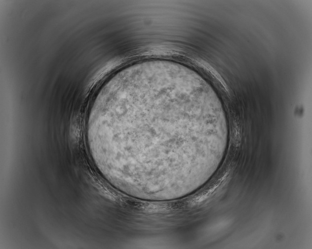 X0000099980874200806201423