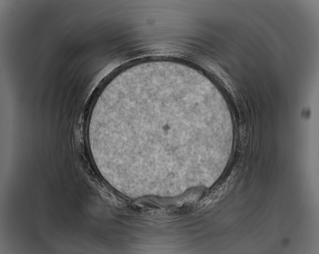 X0000099980875200806201423