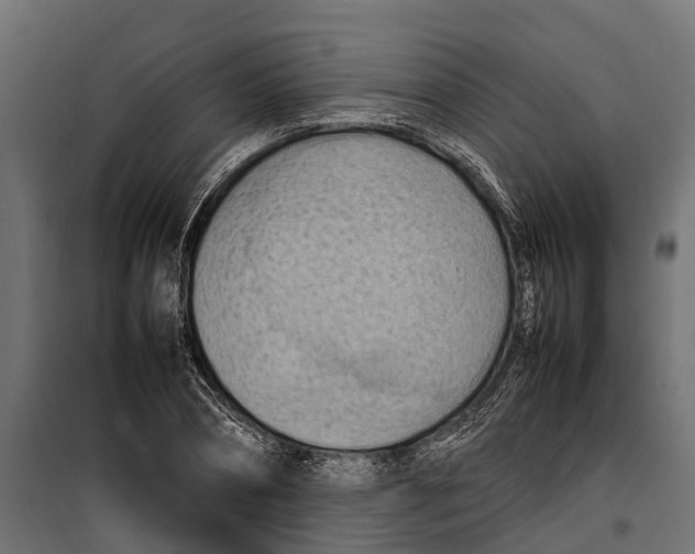 X0000099980882200806201423