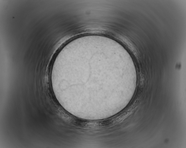 X0000099980883200806201423