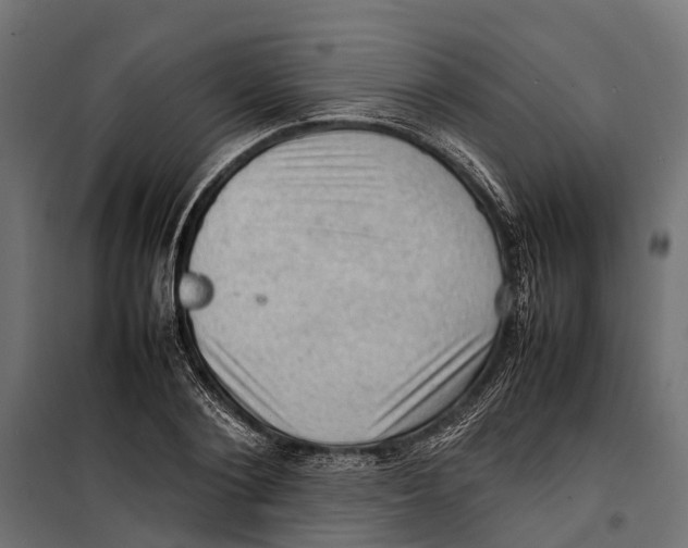 X0000099980884200806201423