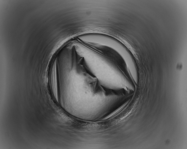 X0000099980885200806201423