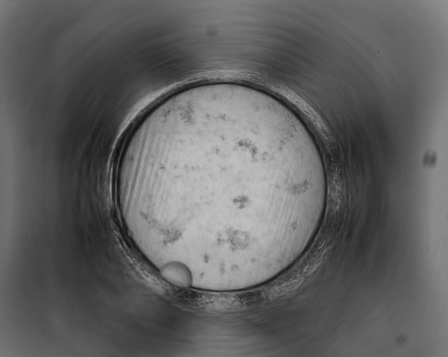 X0000099980886200806201423