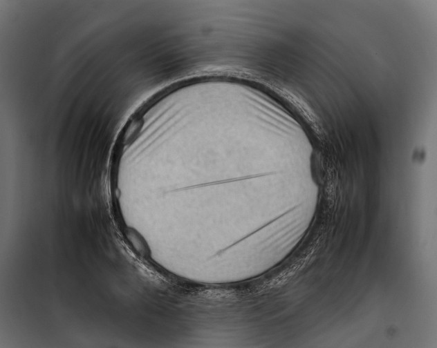 X0000099980888200806201423