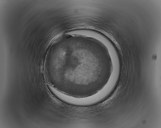 X0000099980889200806201423