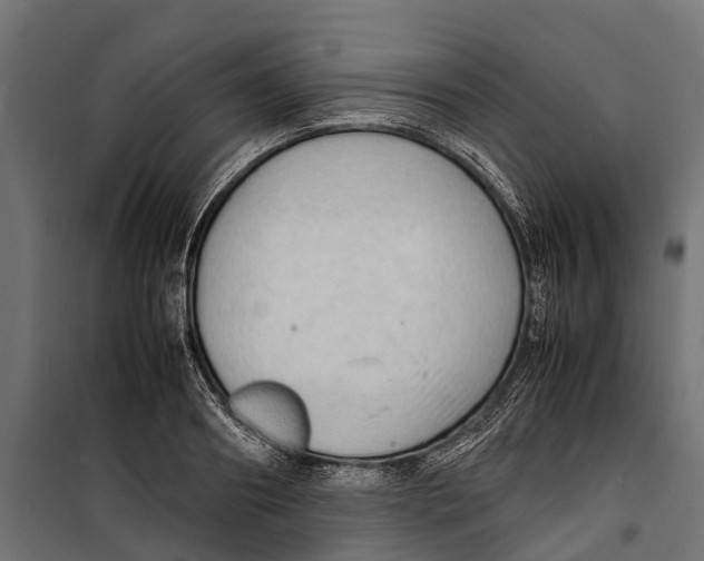 X0000099980890200806201423