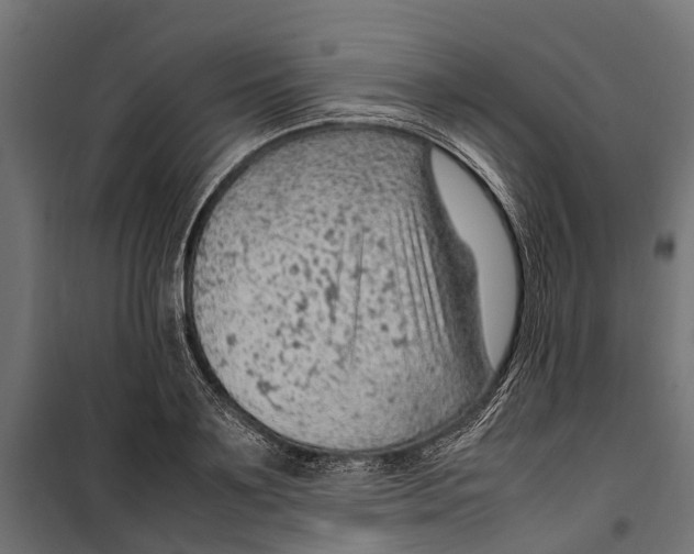 X0000099980891200806201423