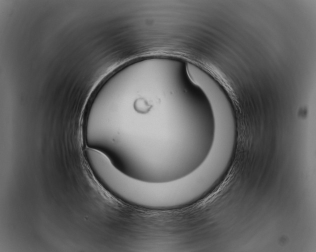 X0000099980892200806201423