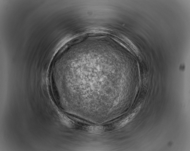 X0000099980893200806201423