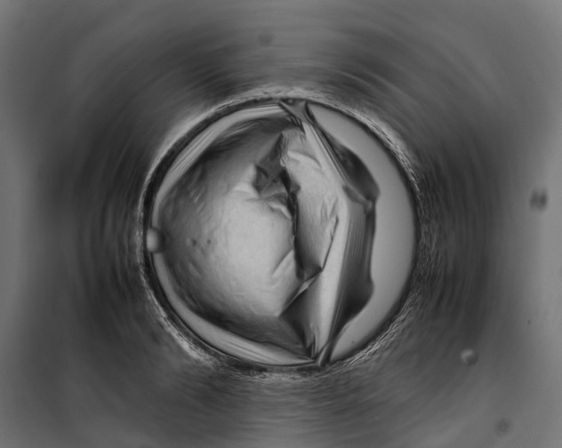 X0000099980894200806201423