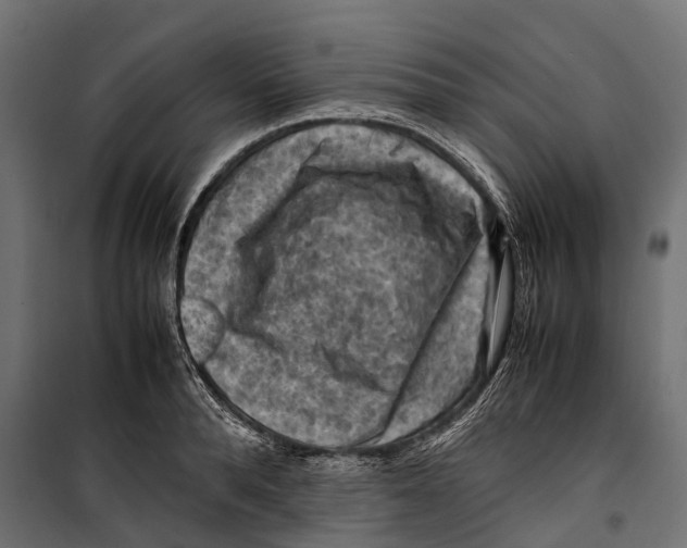 X0000099980896200806201423