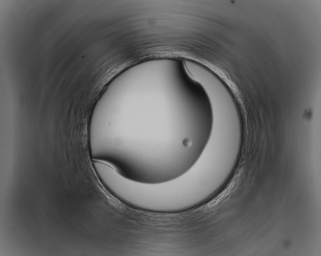 X0000099980897200806201423