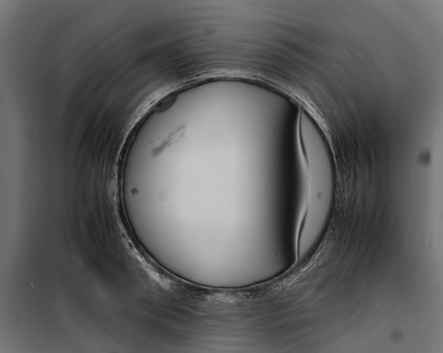 X0000099980898200806201423